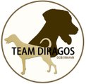 DIRAGOS Exclusive Sportdogs